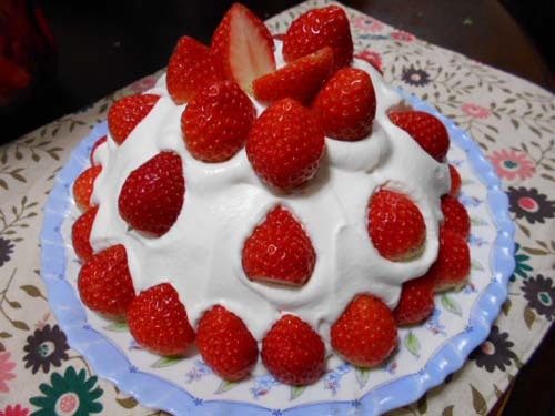 いちごのドームケーキ_f0019498_18400771.jpg