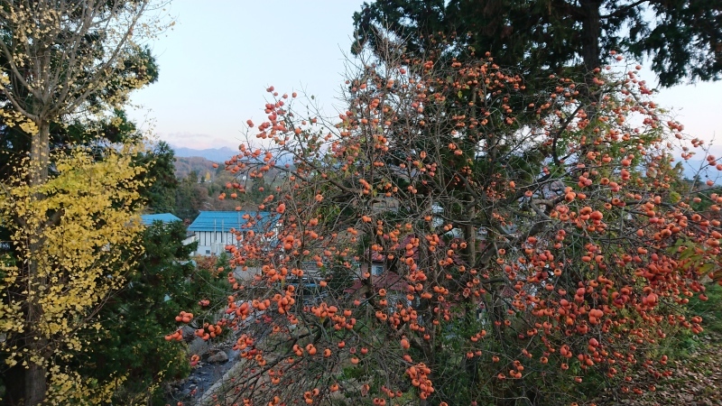c0320302_16390443.jpg