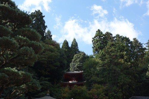 e0206902_16442651.jpg