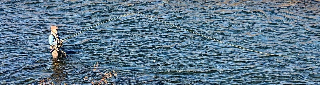 f0266202_19295672.jpg
