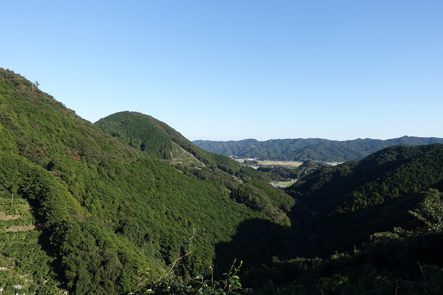 b0351506_07454859.jpg