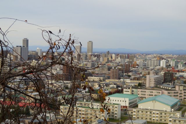 a0345007_20437.jpg