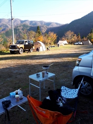 四国山岳植物園 岳人の森キャンプ ２０１８ １１ １０ １１ かおりんの Wonderful Opportunity