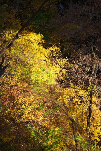 a0263109_18161701.jpg