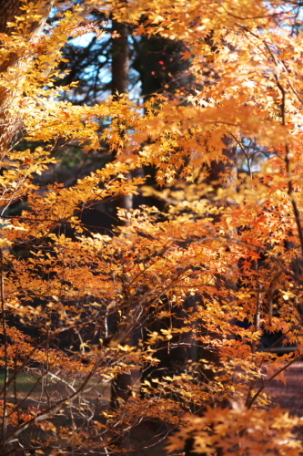 a0263109_19263715.jpg