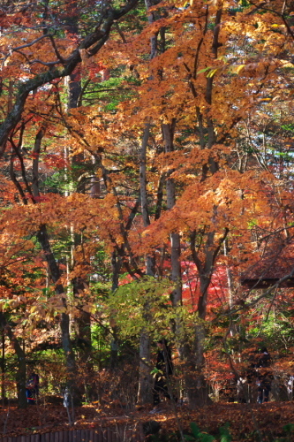 a0263109_19295239.jpg