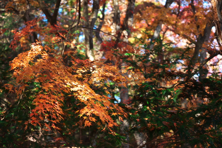 a0263109_19295393.jpg