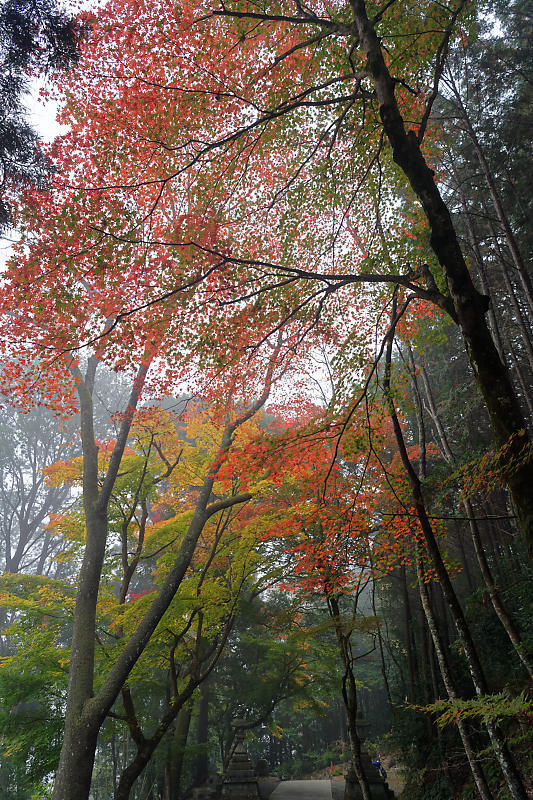 f0032011_16311874.jpg