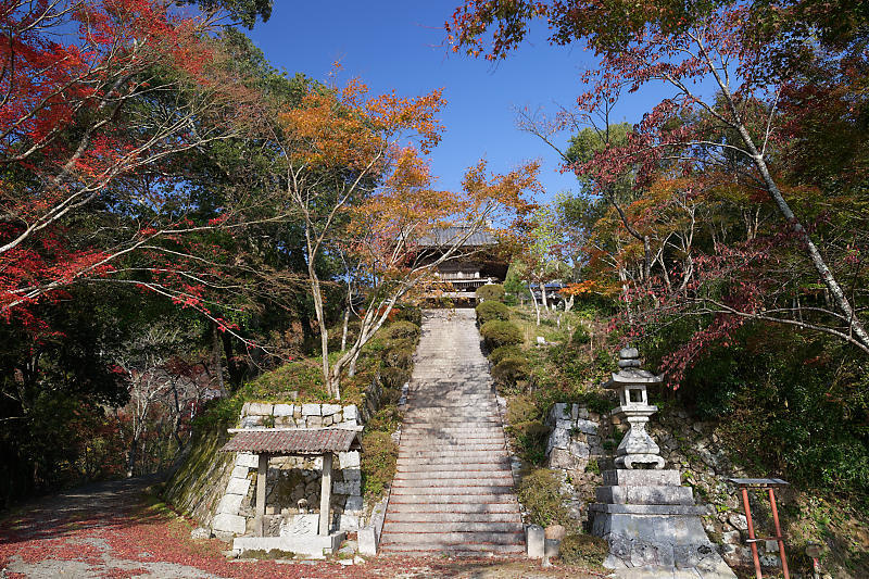 f0032011_17594209.jpg