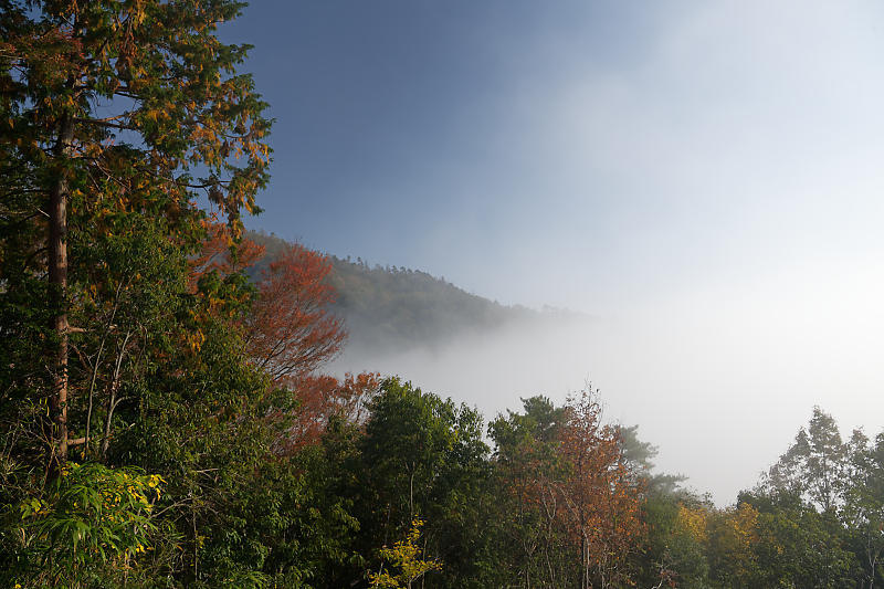 f0032011_17594385.jpg
