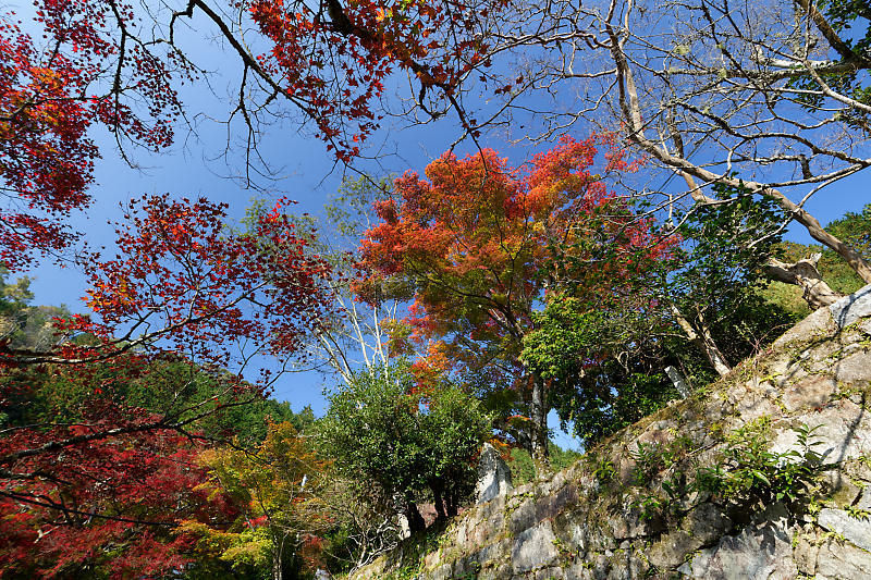 f0032011_18100078.jpg