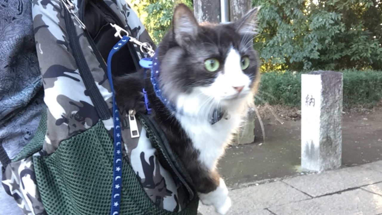 d0221319_18435959.jpeg