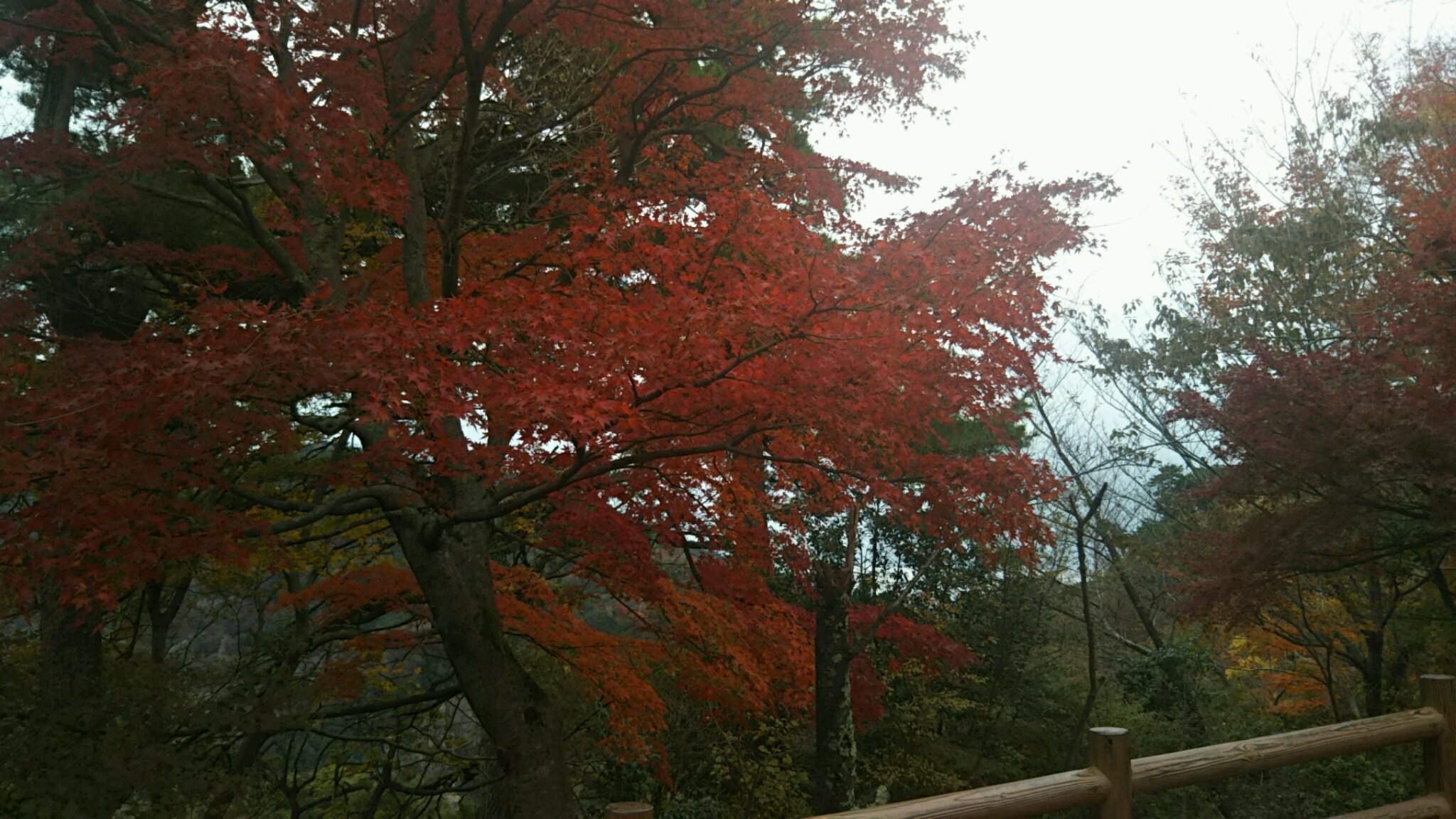 b0247828_13484005.jpg