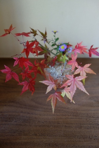 紅葉本番へ_a0197730_13204190.jpg