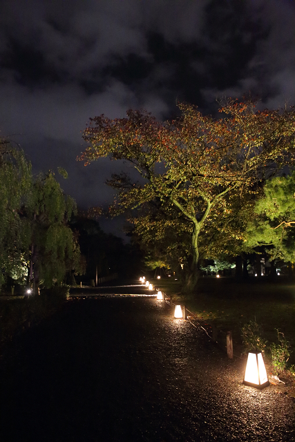 紅葉の京都2018 －二条城秋季特別ライトアップ FLOWERS BY NAKED 2018（中編）－ _b0169330_21432124.jpg