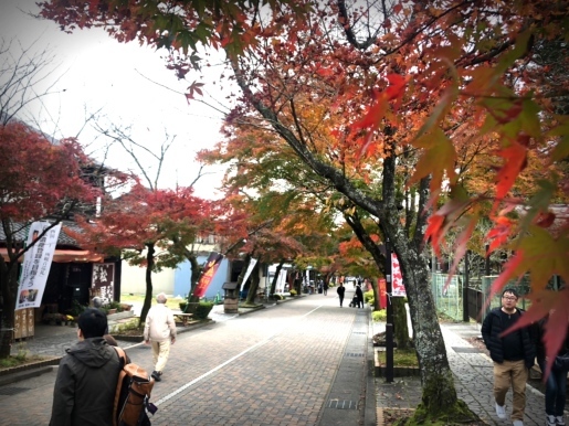 d0067332_14545461.jpeg
