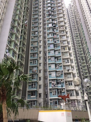 f0371533_21240541.jpg