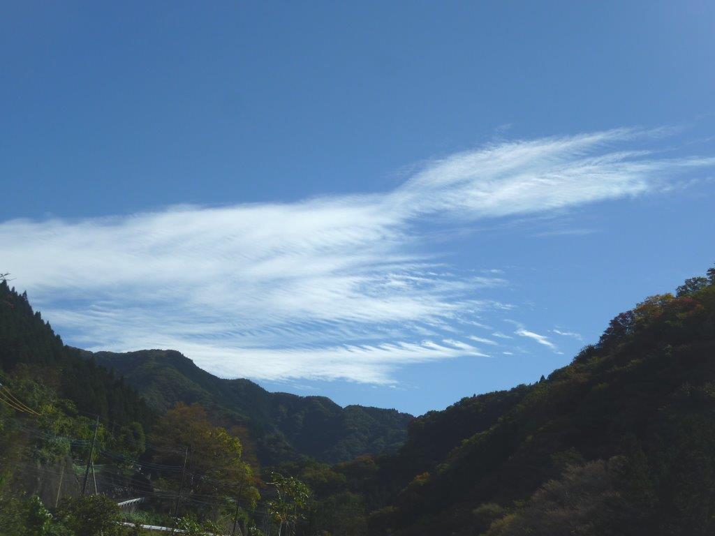 b0298935_21043890.jpg