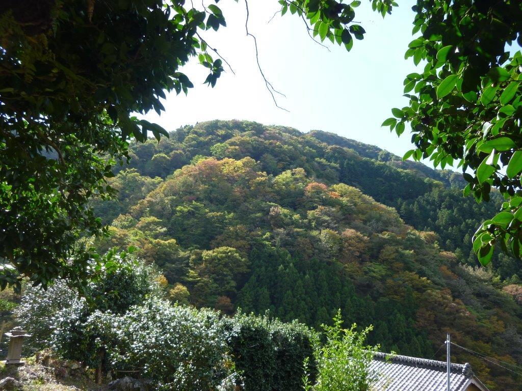 b0298935_21044587.jpg