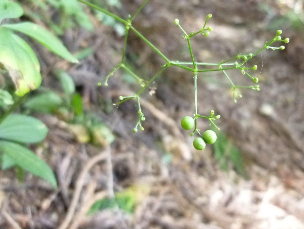 b0298935_21050779.jpg