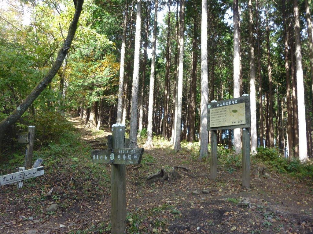 b0298935_21063375.jpg