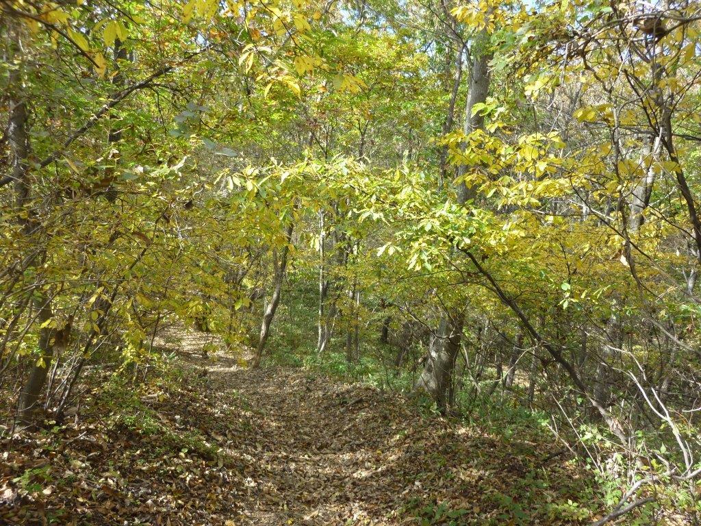 b0298935_21070151.jpg