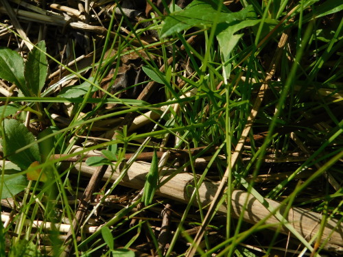 c0338136_15311803.jpg
