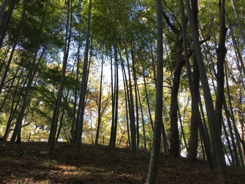 b0330040_14484169.jpeg