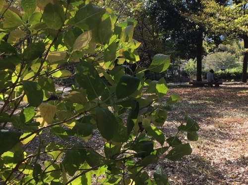 b0330040_14512550.jpeg