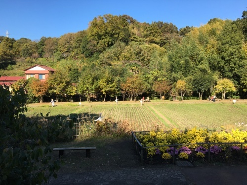 b0330040_20172200.jpeg