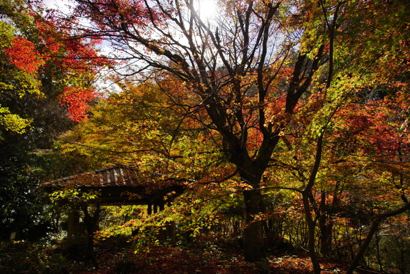 c0306845_08481058.jpg
