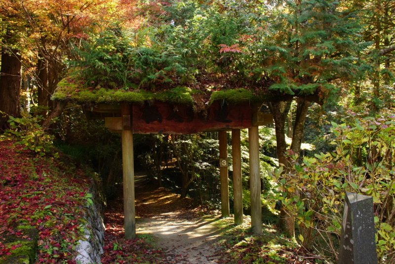 c0306845_09051625.jpg