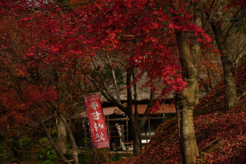 c0306845_11041624.jpg