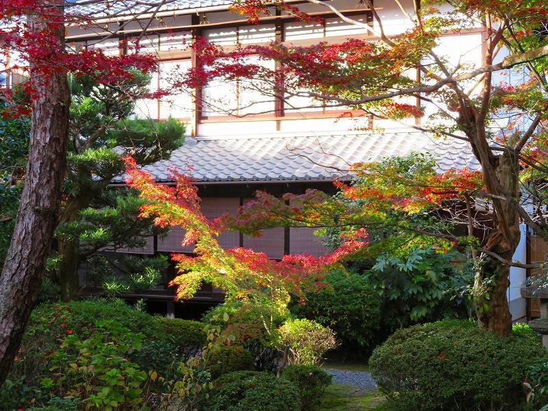 紫式部ゆかりの寺「蘆山寺」20181115_e0237645_20280683.jpg