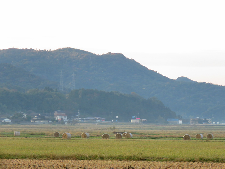 f0214649_06432242.jpg