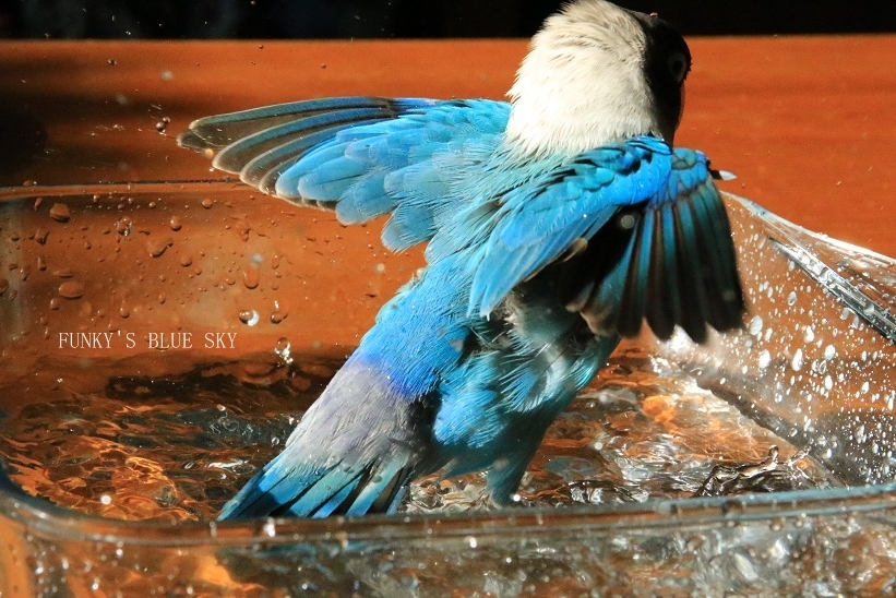 c0145250_10110220.jpg