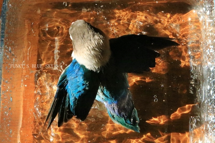 c0145250_10112465.jpg