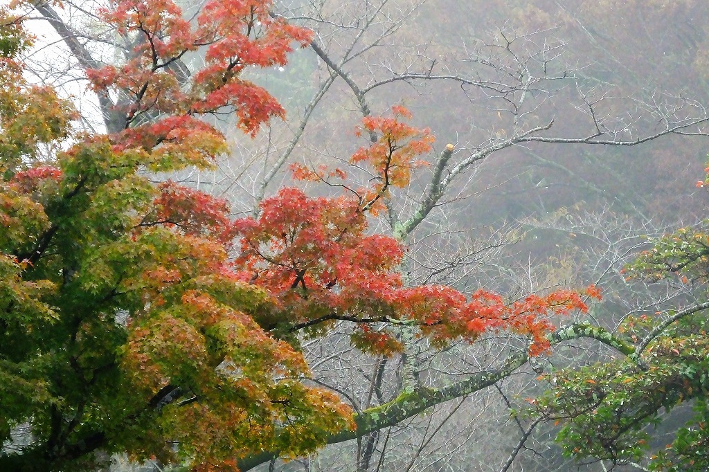 b0236251_11354267.jpg