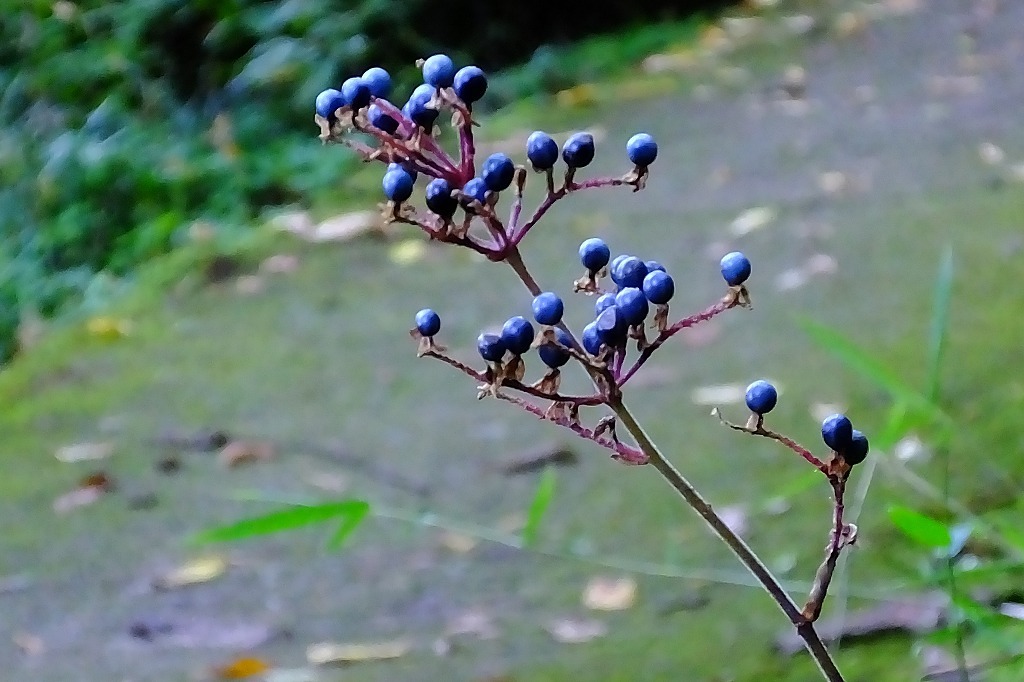 b0236251_11372171.jpg