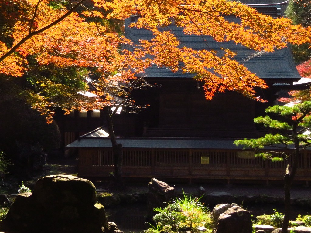 内津神社の紅葉  ❜18_a0018655_14285699.jpg