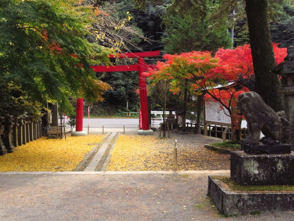 内津神社の紅葉  ❜18_a0018655_14293824.jpg