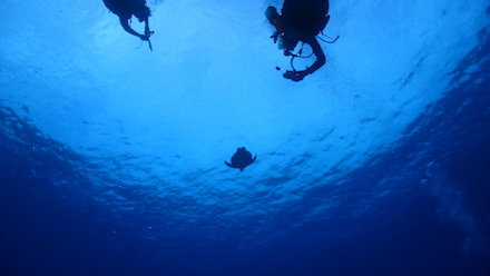 a0346455_21115801.jpg