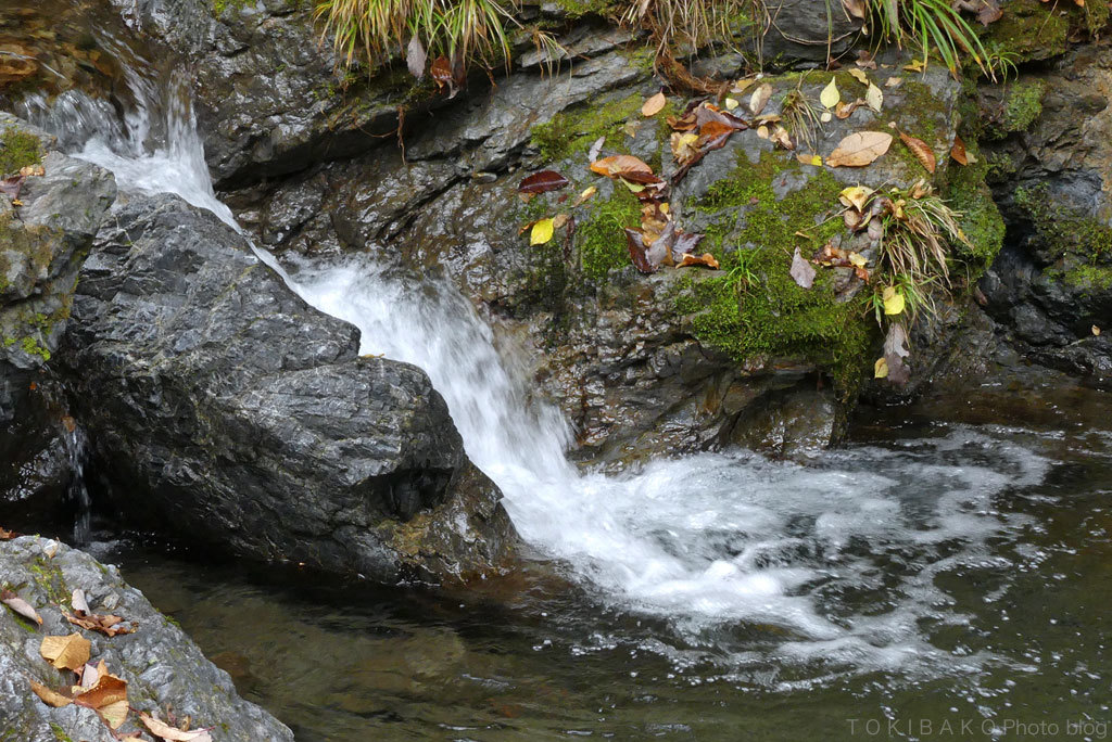 d0100156_15255132.jpg