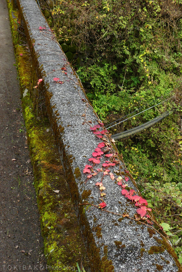 d0100156_15260778.jpg