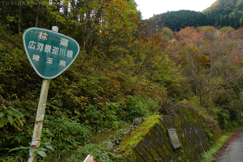 d0100156_15265158.jpg