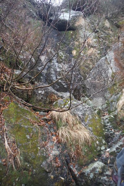 c0294658_21332261.jpg