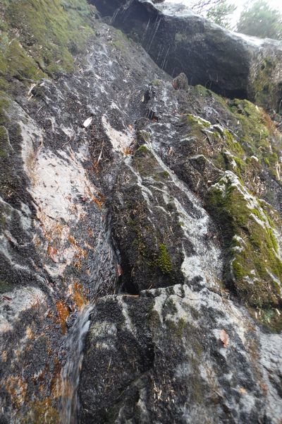 c0294658_22124249.jpg