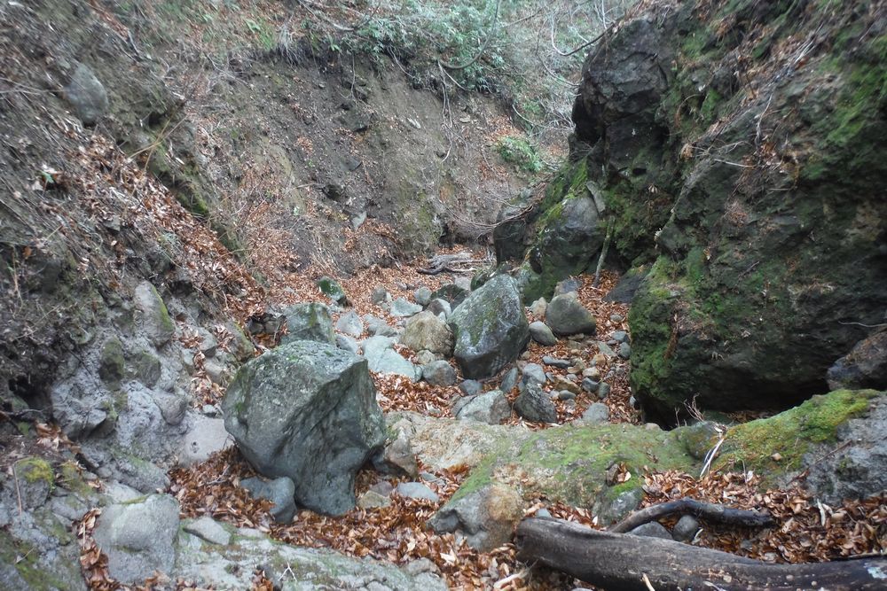 c0294658_22331577.jpg