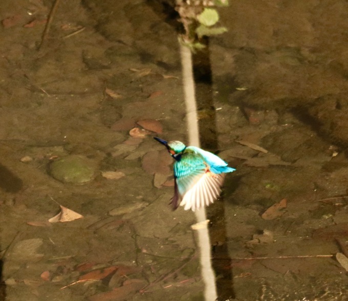 a0248459_15074922.jpg