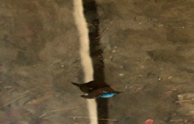 a0248459_15081172.jpg